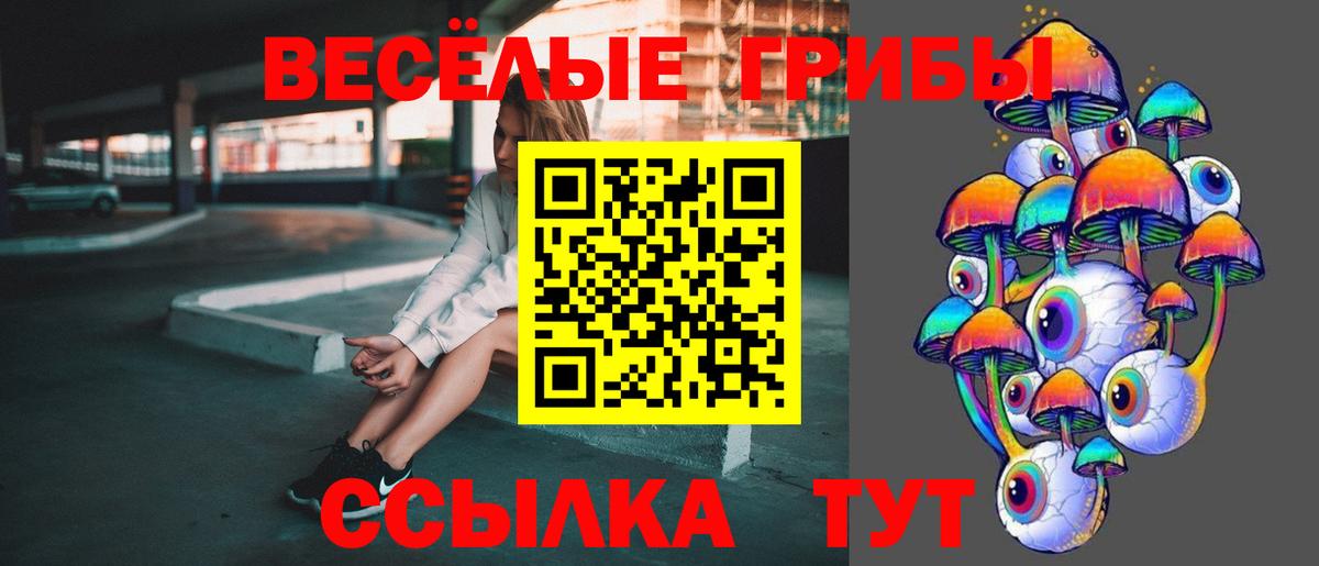 Новоуральск  Псилоцибиновые грибы MAGIC MUSHROOMS  Вход с VPN 